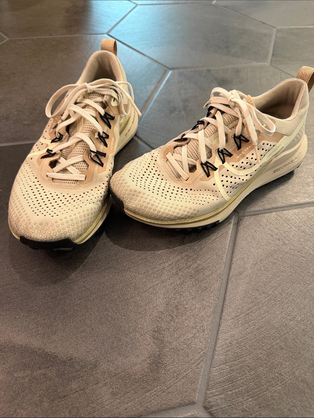 Nike Pegasus Trail 8.5
